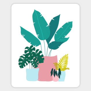 Tropical Houseplants Magnet